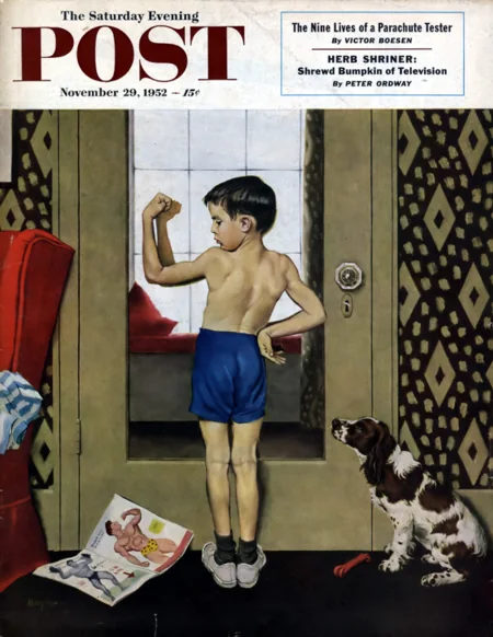 Cover of The Case of the Blind Pilot