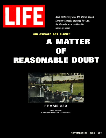 Cover of LIFE: November 25, 1966